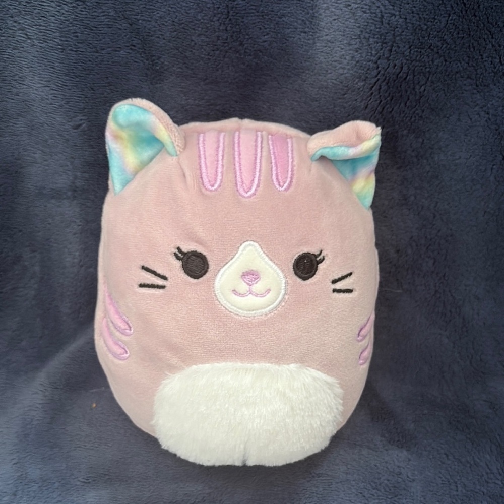 Squishmallows Tally the Cat 5” plush